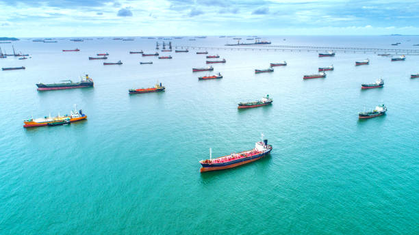 Shipping showcase 2